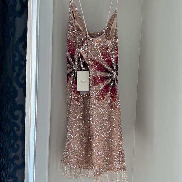 Tularosa Bellini Sequin Dress in Cherry Blossom - Picture 7 of 10